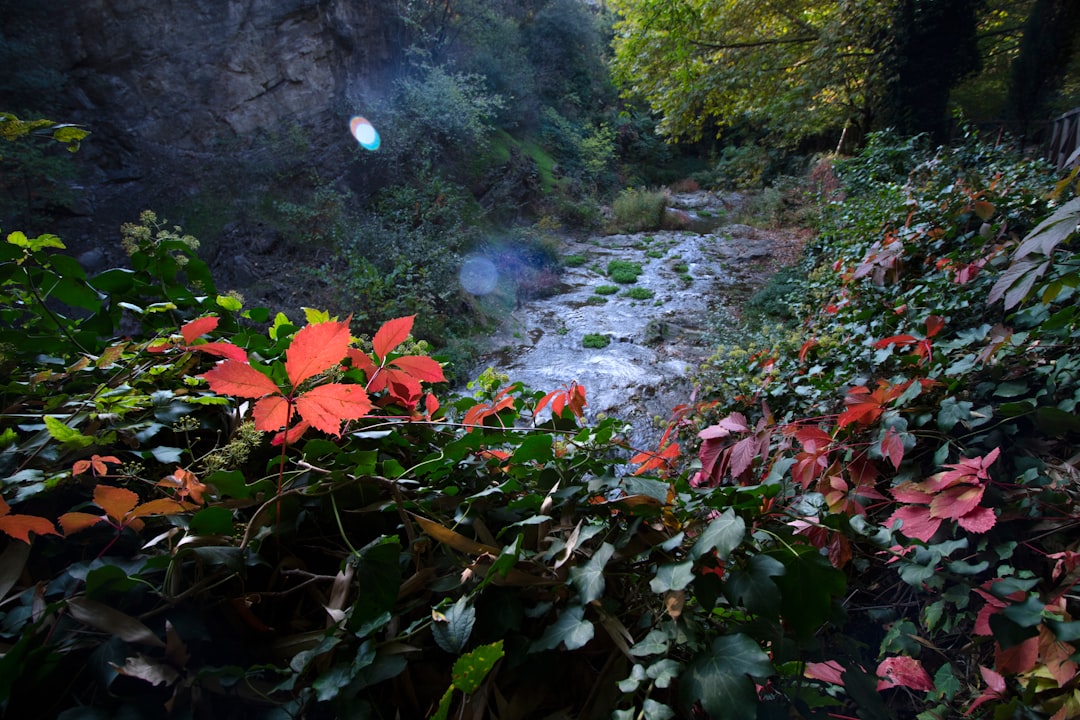 Welcome to Casteel Heights Homeowners Association!